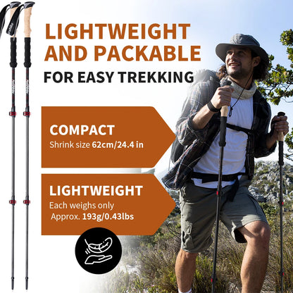 Summit Trek Poles