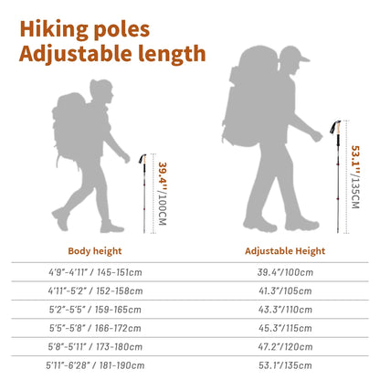 Summit Trek Poles