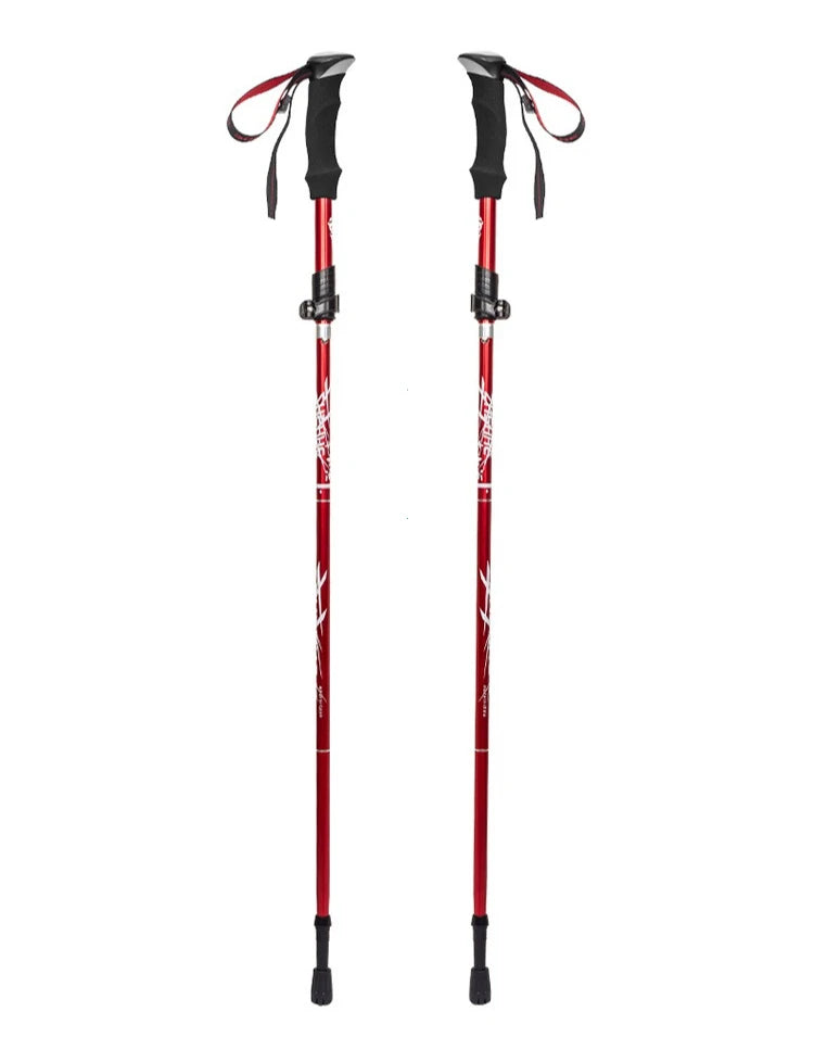 Bastón de trekking TrailFlex